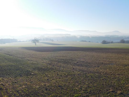 Bild 1 von 15  -  41 kB